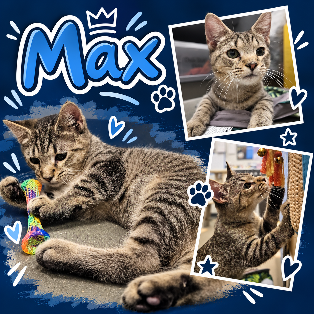 Max (FCID# 08/18/2026 - 8 Middletown PS) C