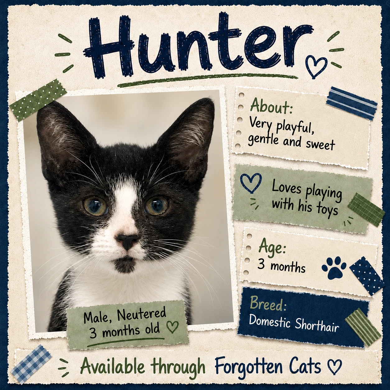 Hunter Fcid  -  Brandywine Ps C