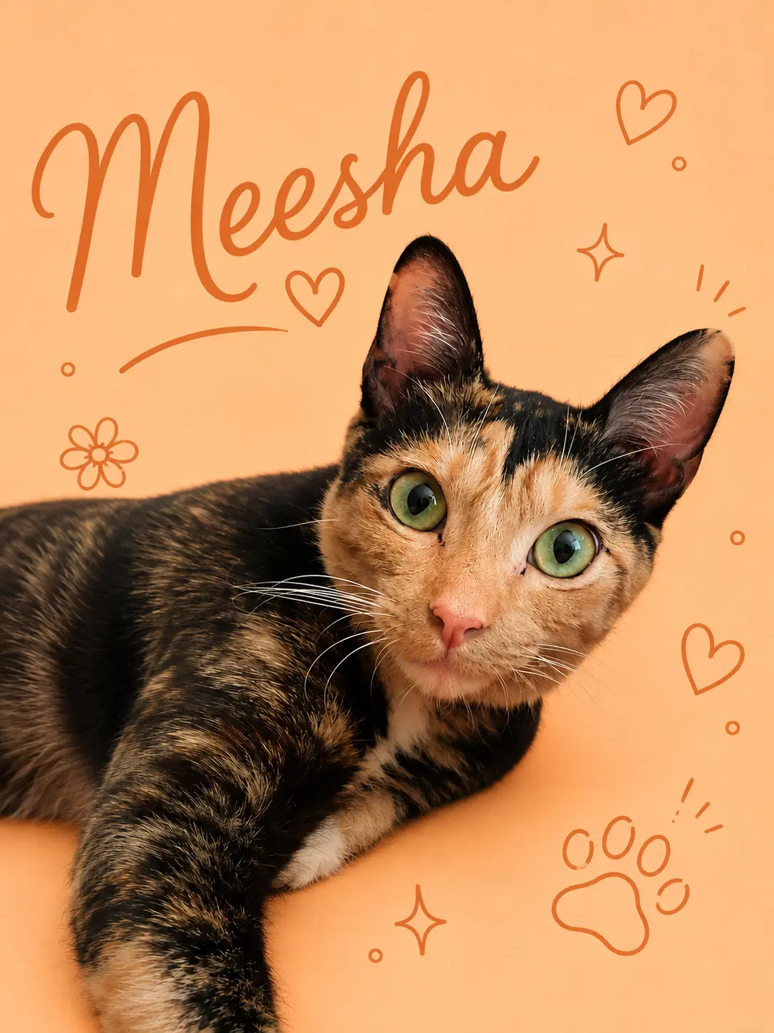 Meesha Fcid  -  Middletown Event image 1