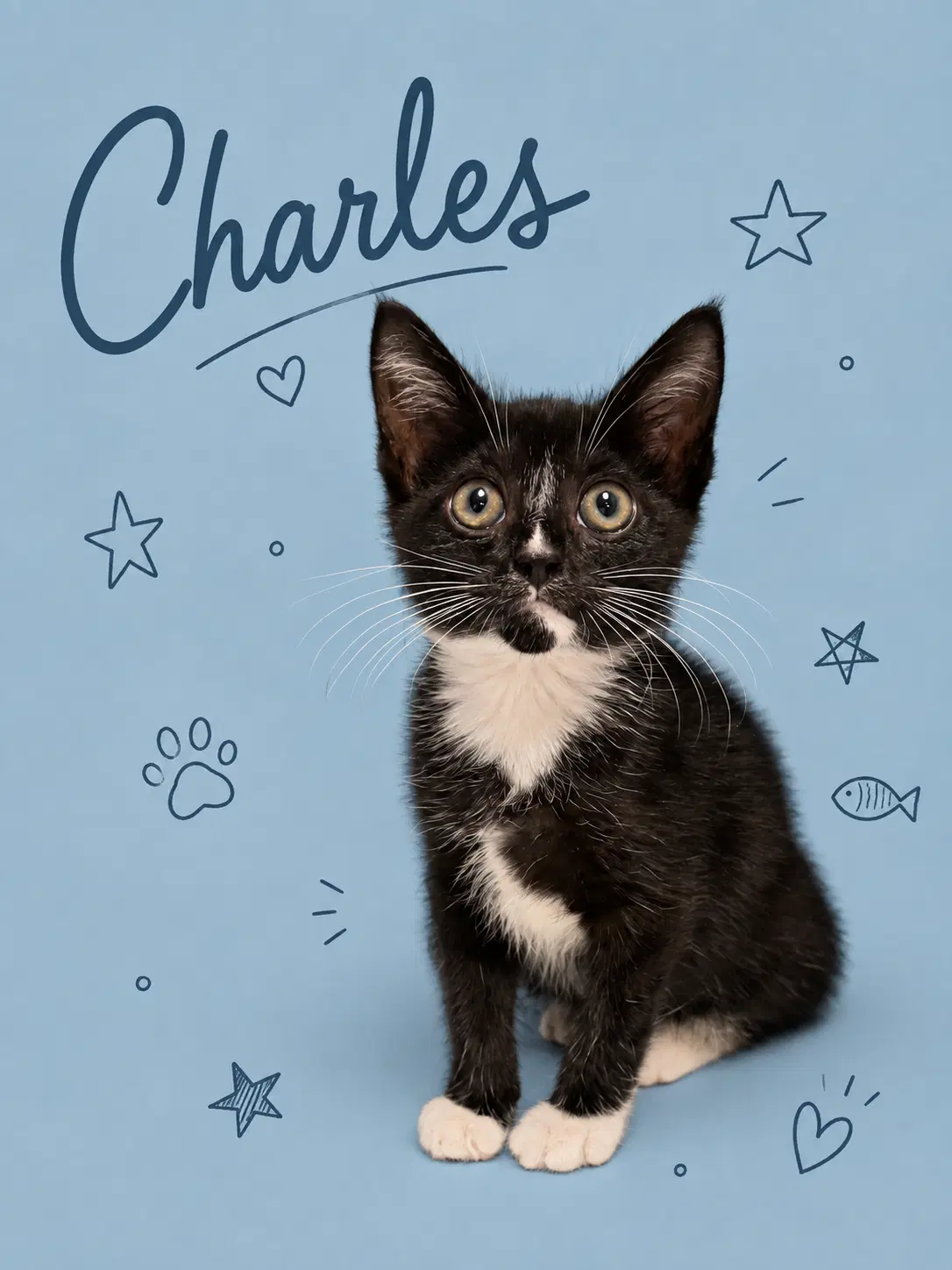 Charles Fcid  -  Middletown Event image 1