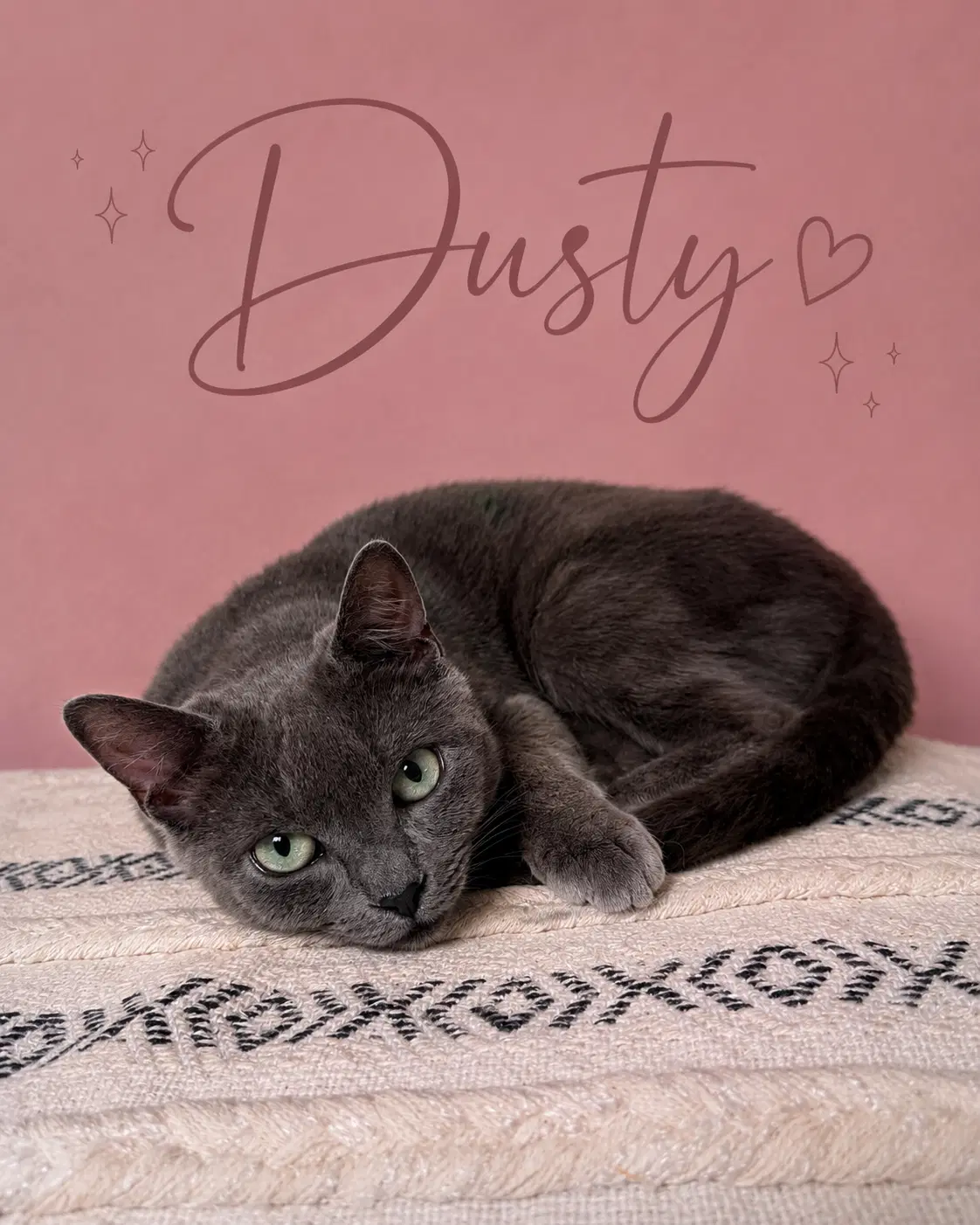 Dusty Fcid  -  Middletown Ps Dc image 2