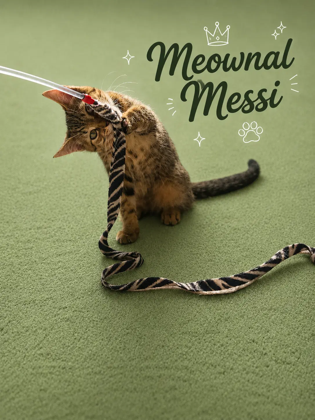 Meownal Messi Fcid - Middletown Event image 1