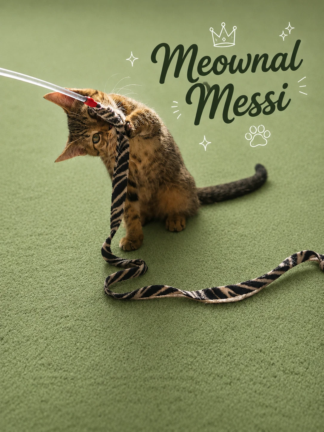 Meownal Messi Fcid - Middletown Event
