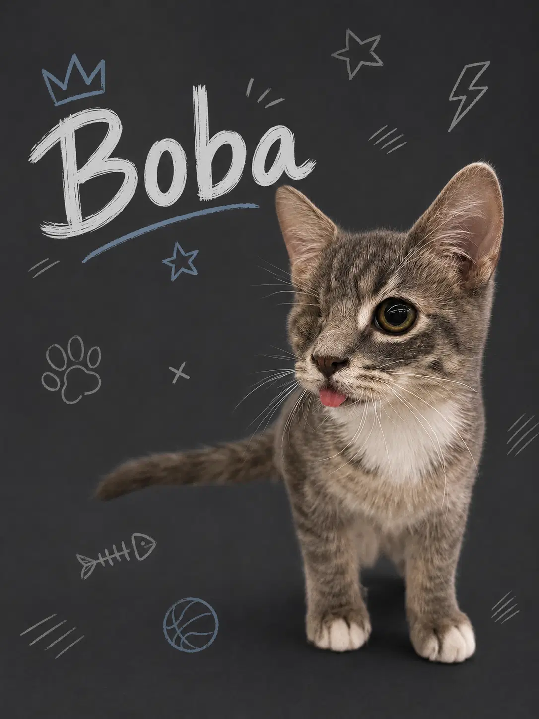 Boba W Bruce - - image 2