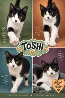 Toshi Fcid  -  Trainer image 2