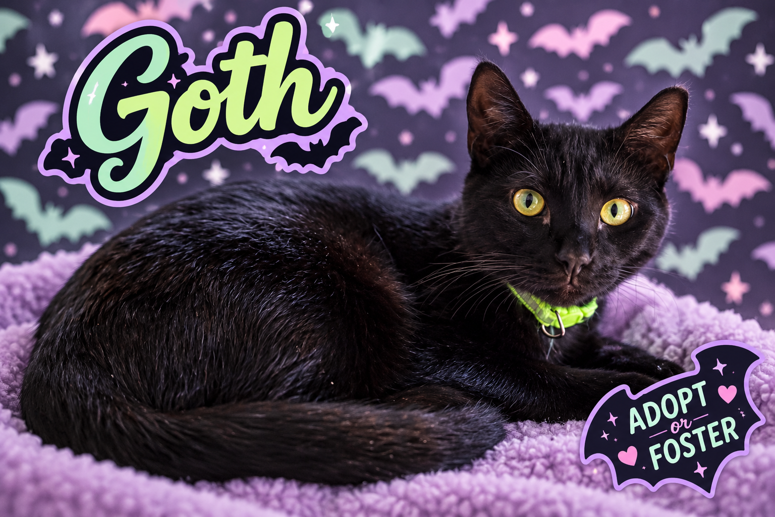 Goth (FCID# 08/24/2026 - 26 Trainer)