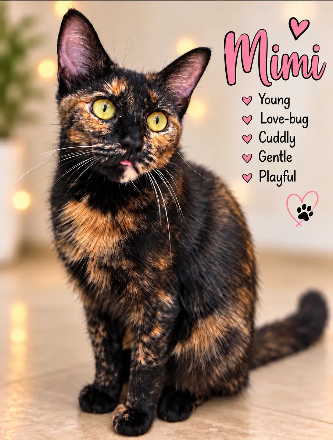 Mimi Fcid  -  Willow Grove - Tortoiseshell