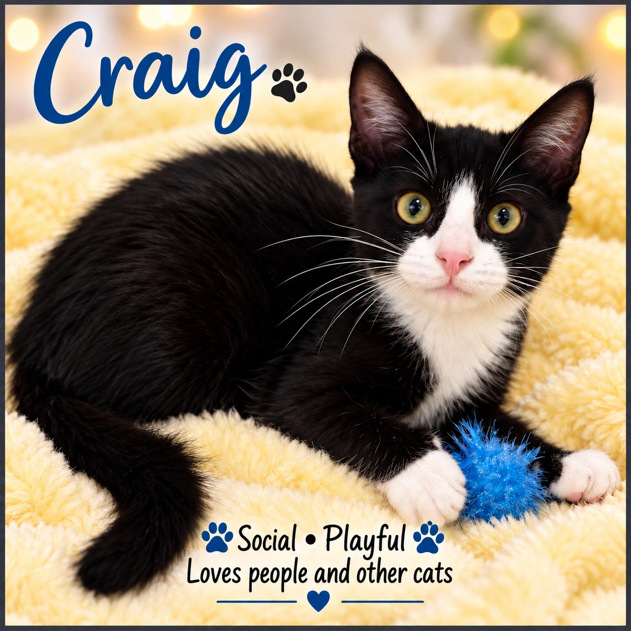 Craig Fcid- Willow Grove
