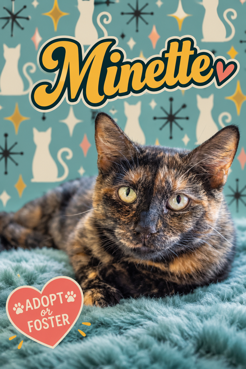 Minette, photo 3