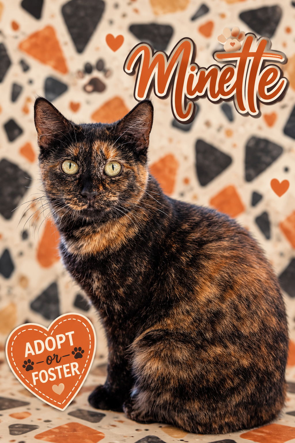 Minette (FCID# 09/02/2026 - 35 Trainer)