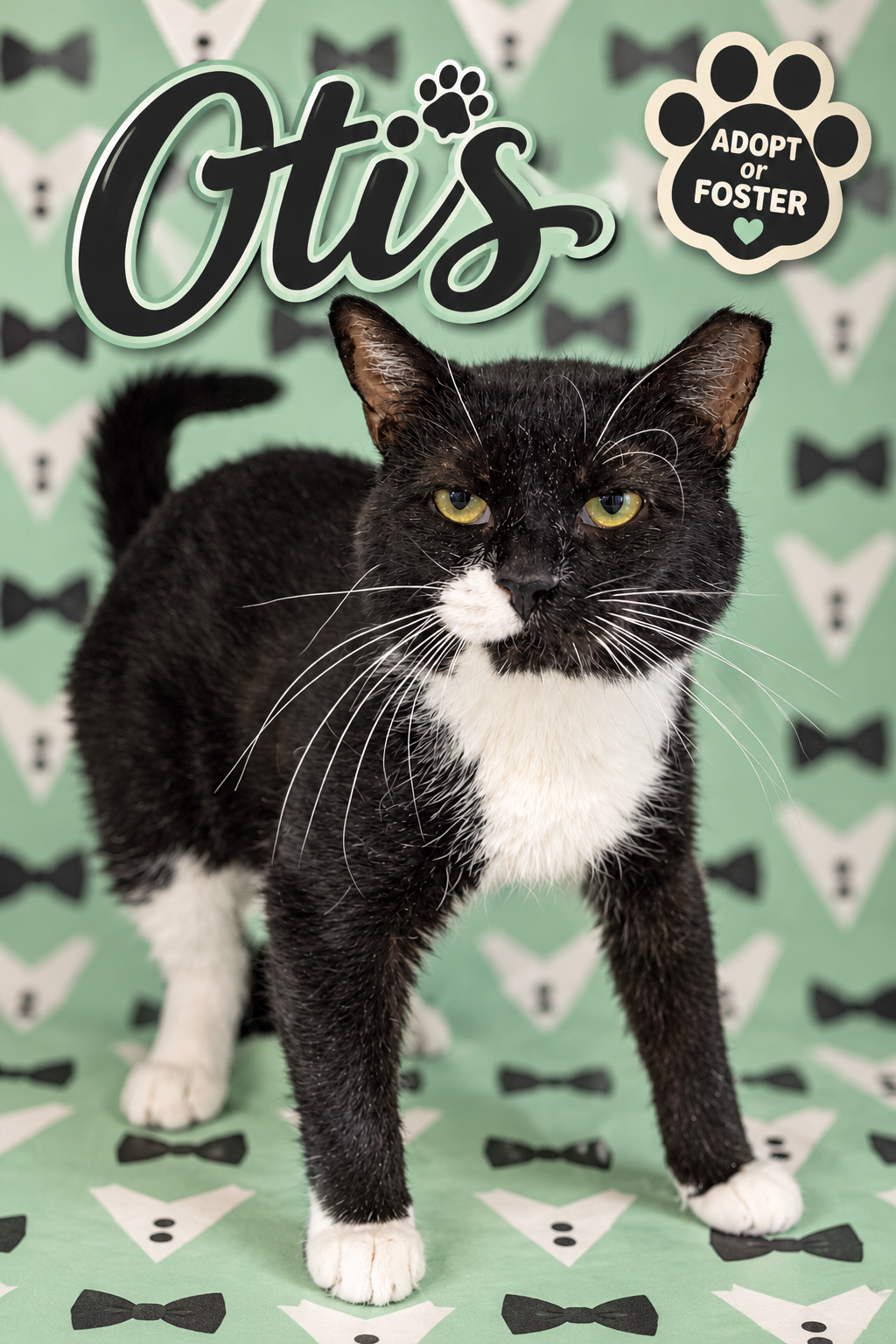 Otis (FCID# 08/10/2026 - 32 Brandywine PS)