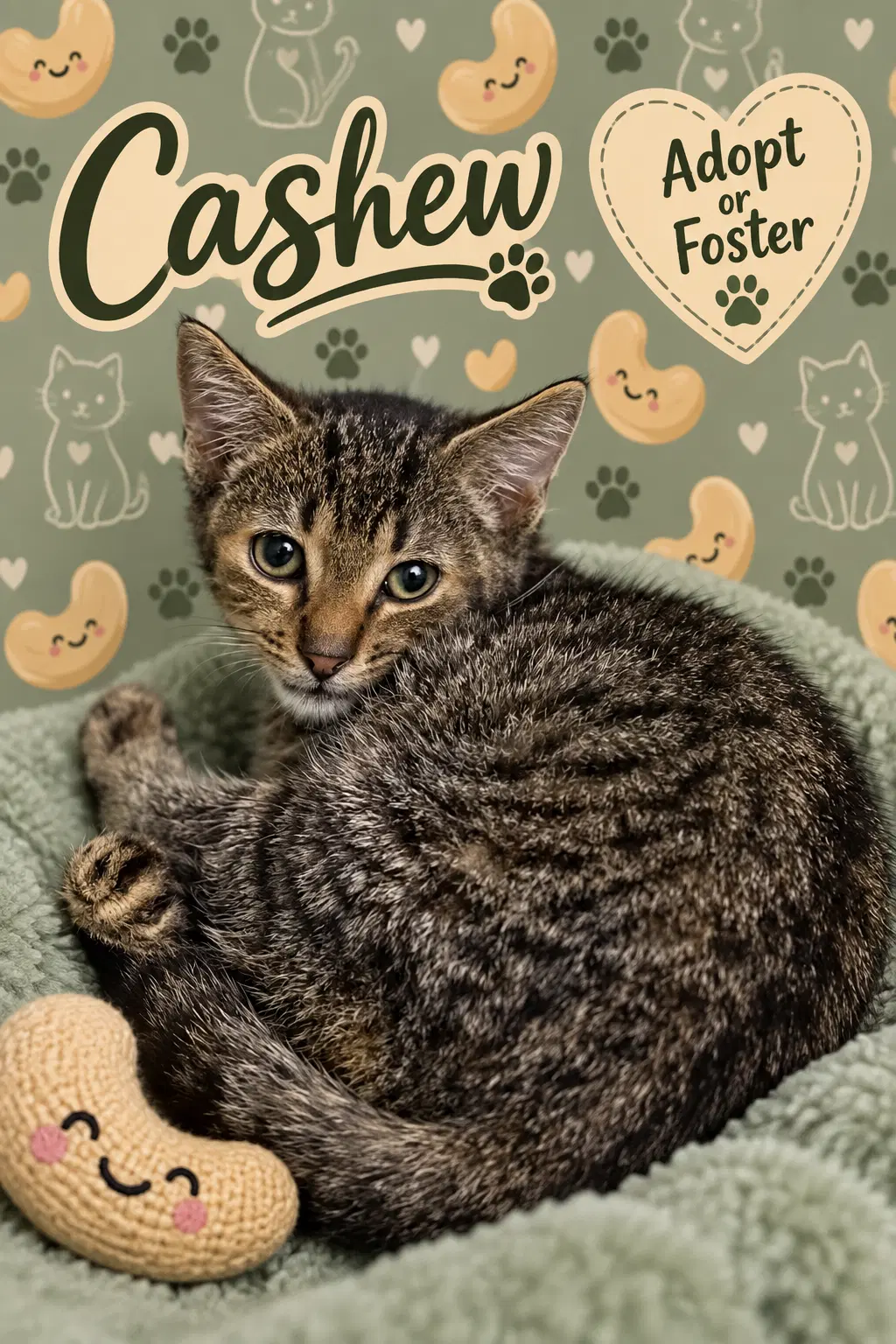 George Fka Cashew Fcid  - image 3