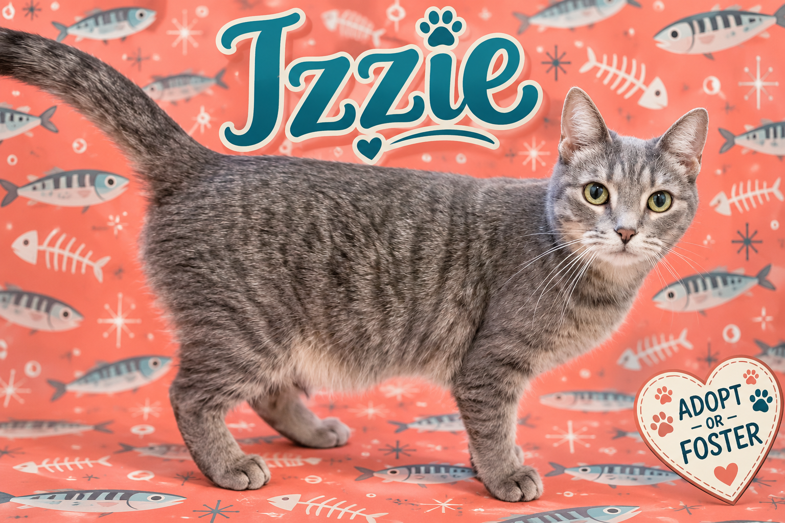 Izzie (FCID# 09/16/2026 - 158) Trainer