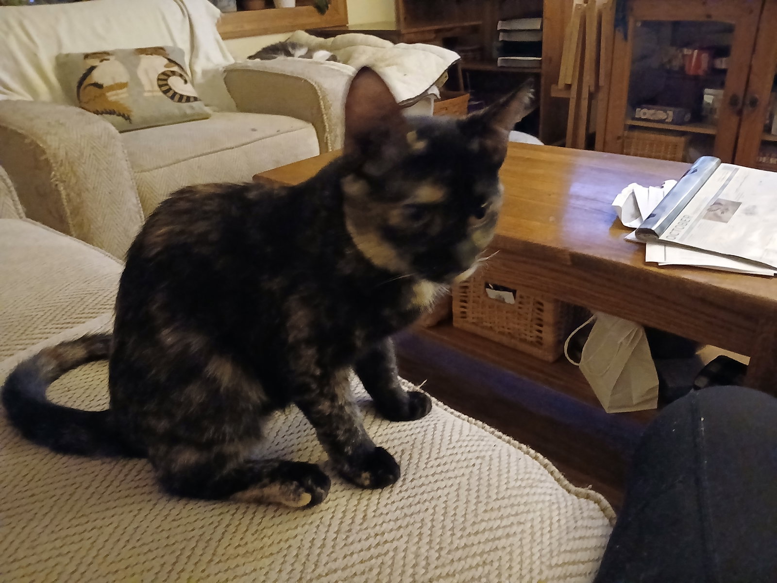 Persia, Willow Grove PS, (FCID 08/25/2026-125), photo 2