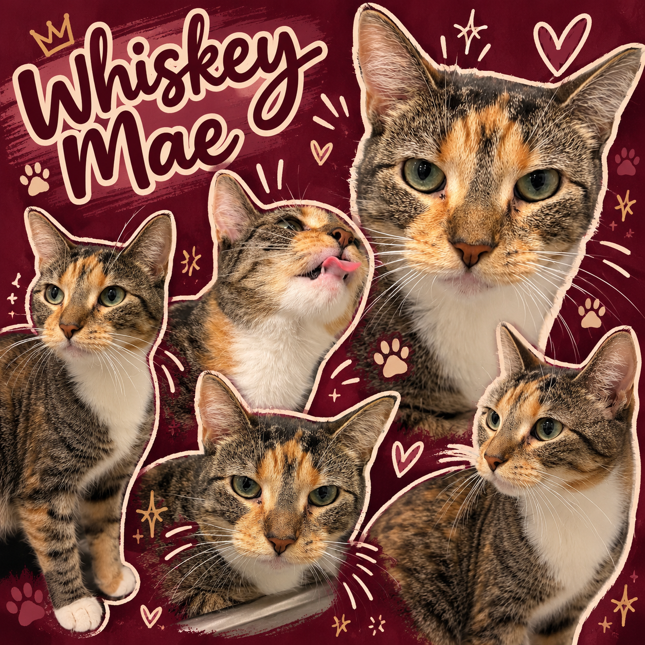 Whiskey Mae (FCID# 09/14/2026 - 95 Middletown PS)