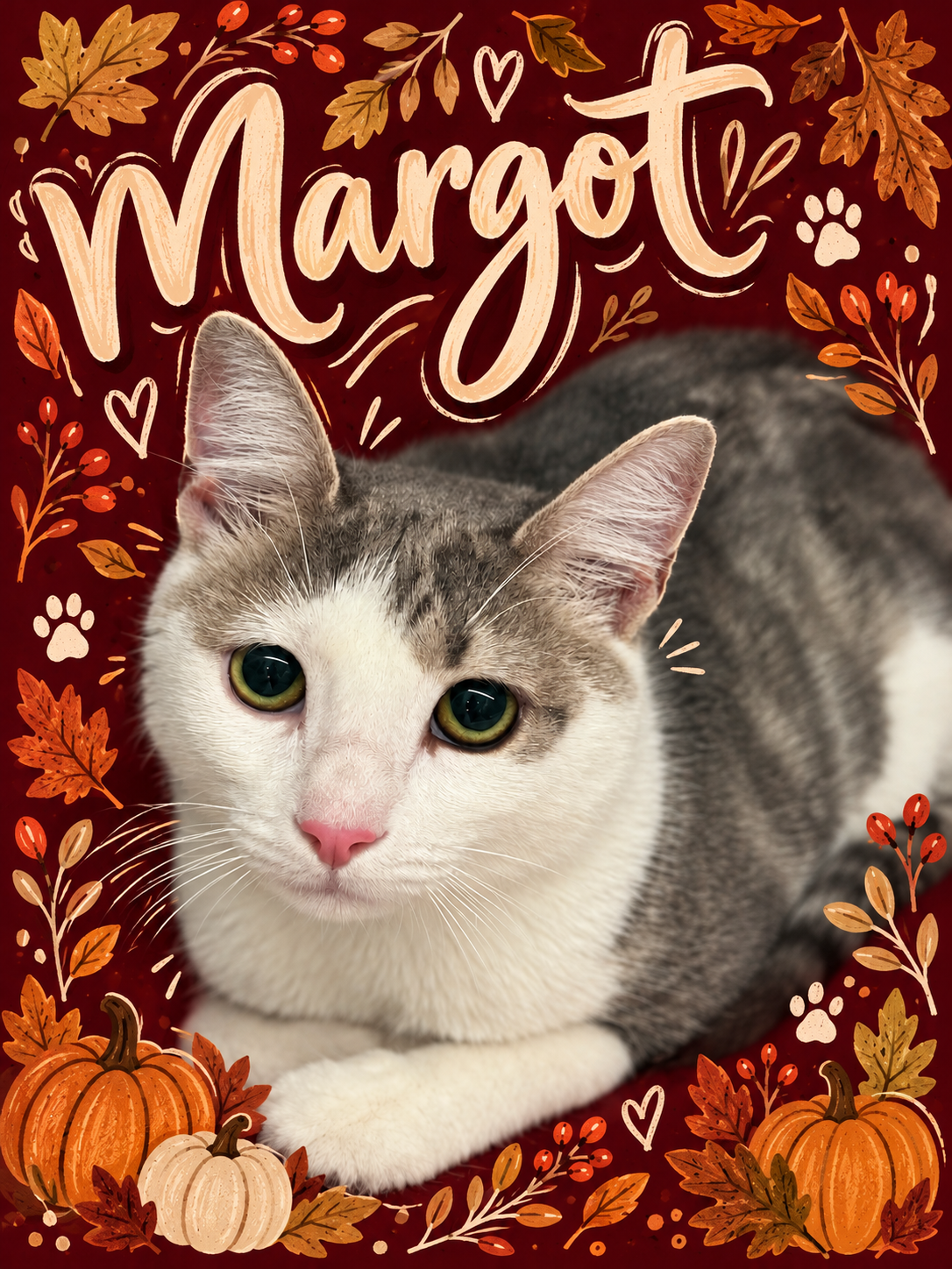Margot (FCID# 06/11/2026 - 25 Middletown PS), photo 4