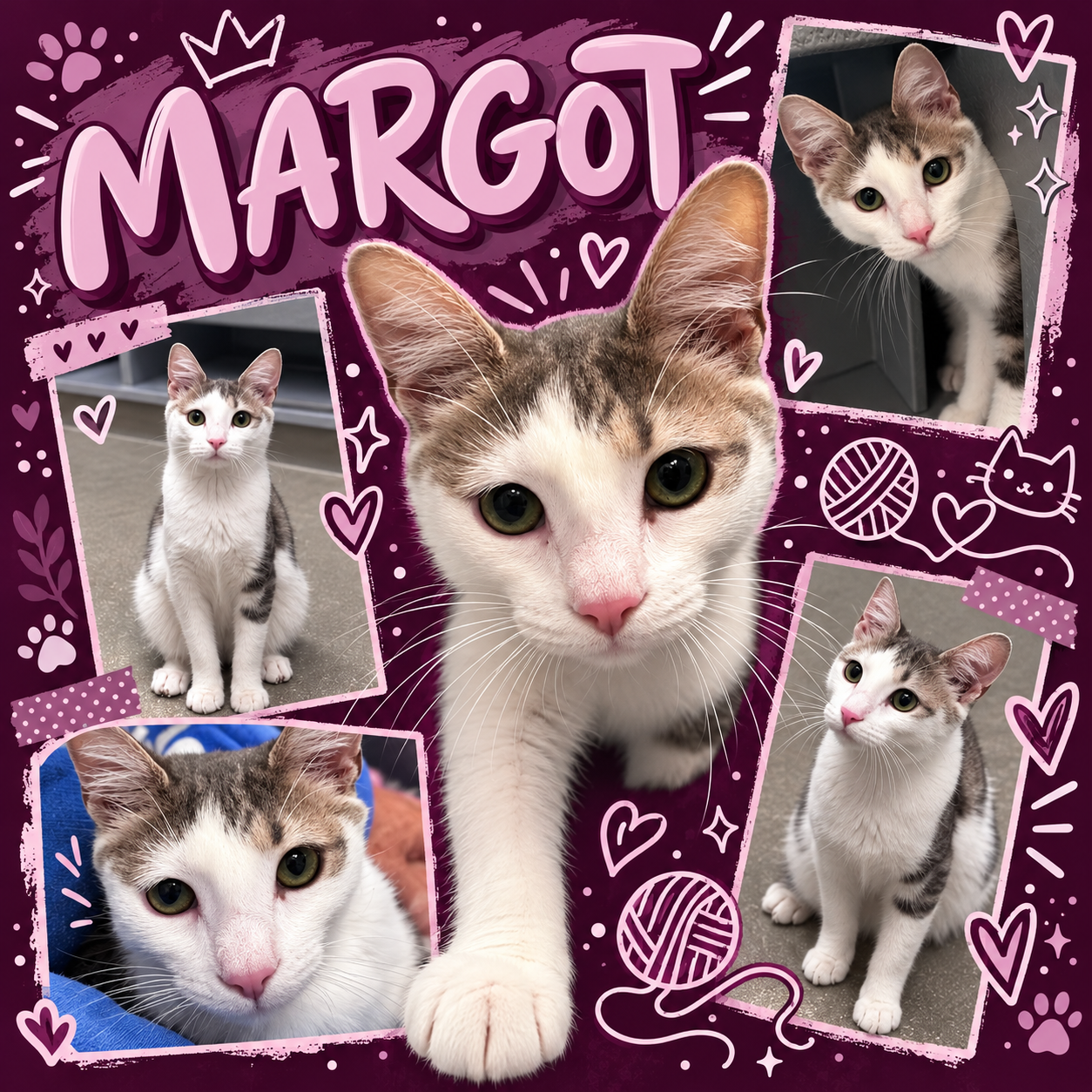 Margot (FCID# 06/11/2026 - 25 Middletown PS)