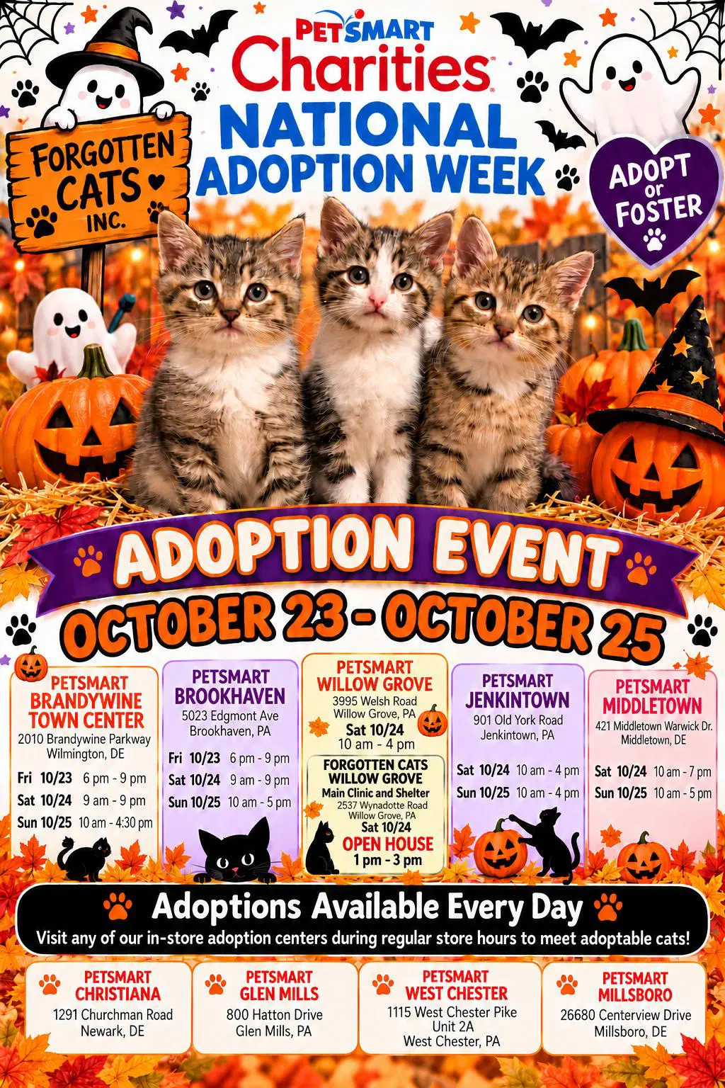 Petsmart's Fall National Adoption Event Oct - - Domestic Short Hair