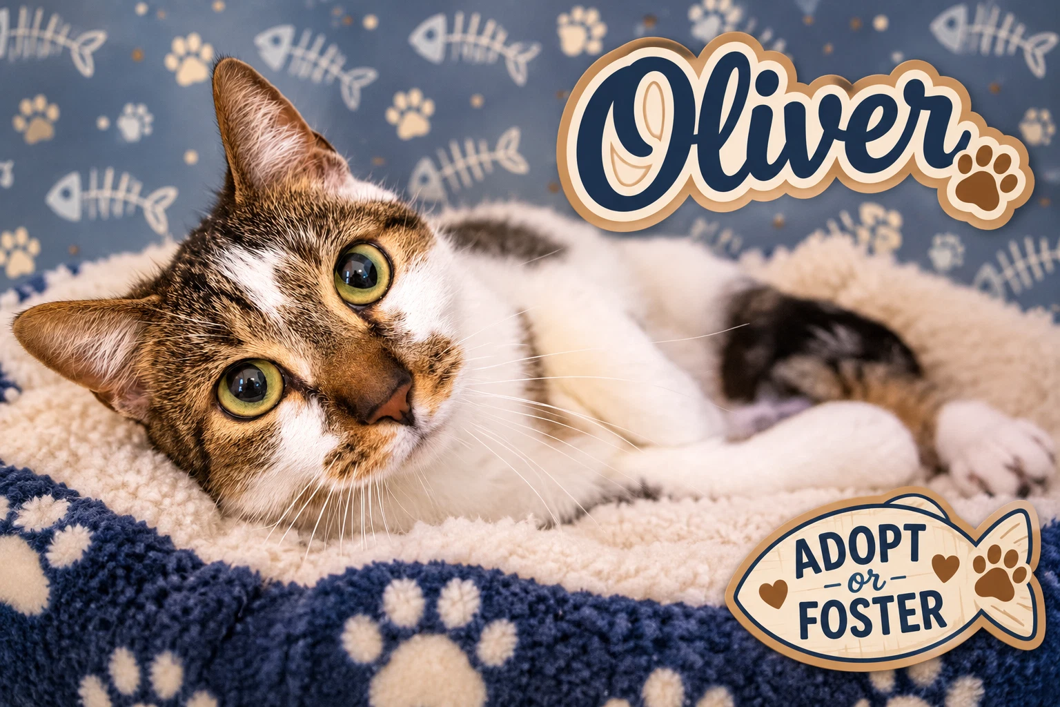 Oliver