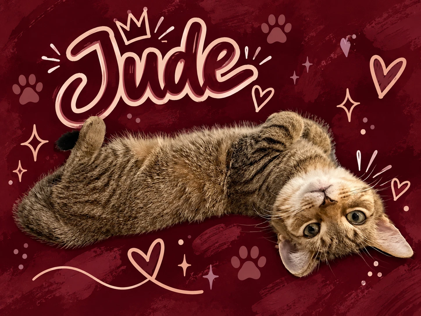 Jude