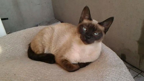 Asia