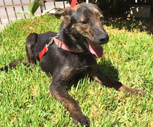 Sunshine