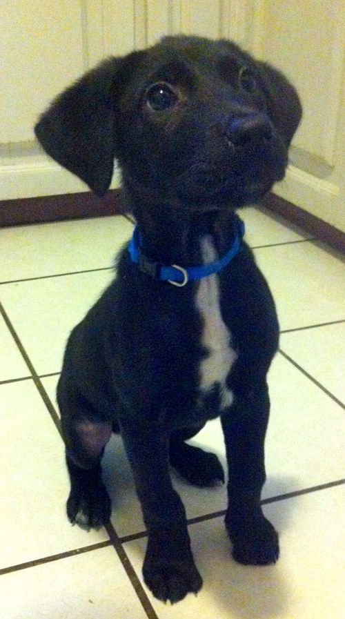 Winston