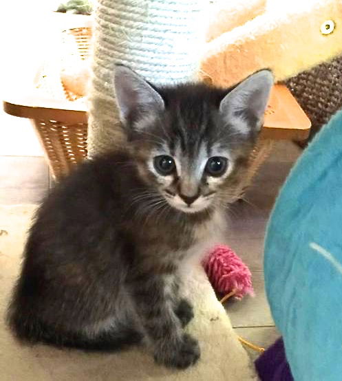 Berlioz