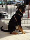 Lola