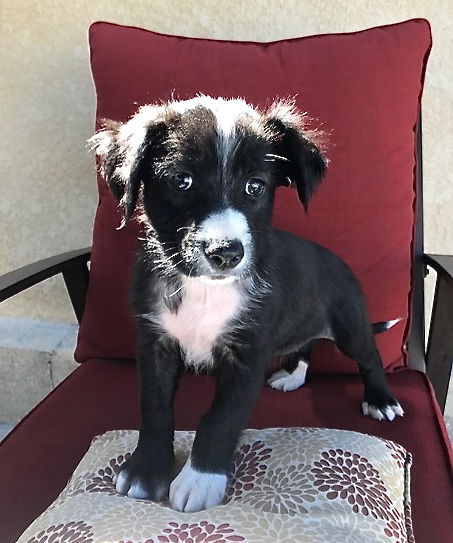 Keira