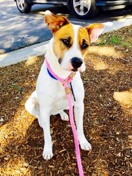 Frida