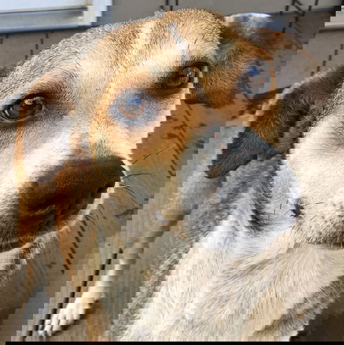 May