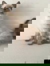 Ben