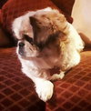 Mona