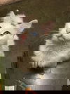 Fluffy