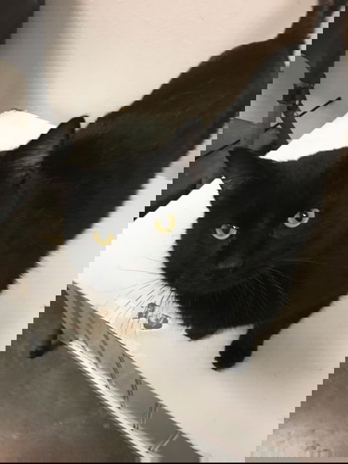 Bruce