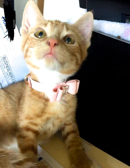 Benny