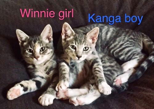 Winnie