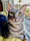 Kit