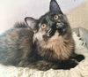 Betty