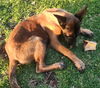 Leah