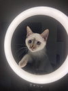 Morty
