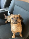ROXY