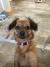ROXY