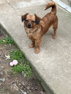 ROXY