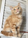 Theodore