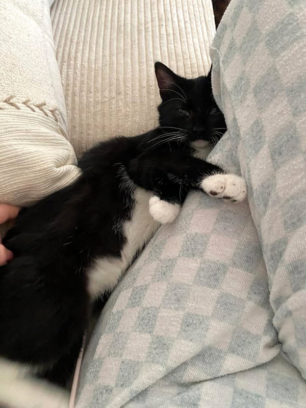 Bella