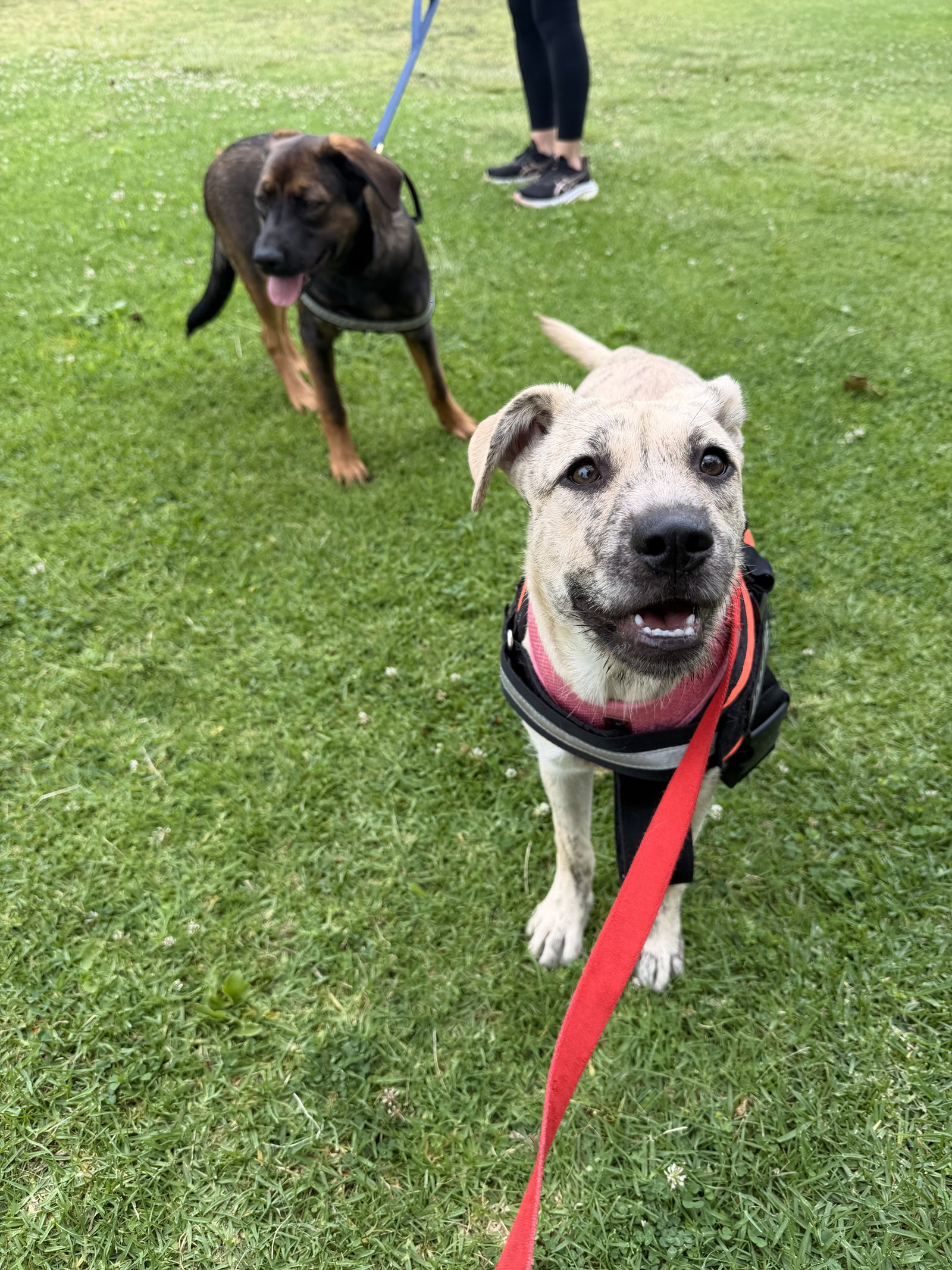 Happy, photo 10