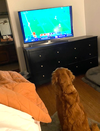Duke