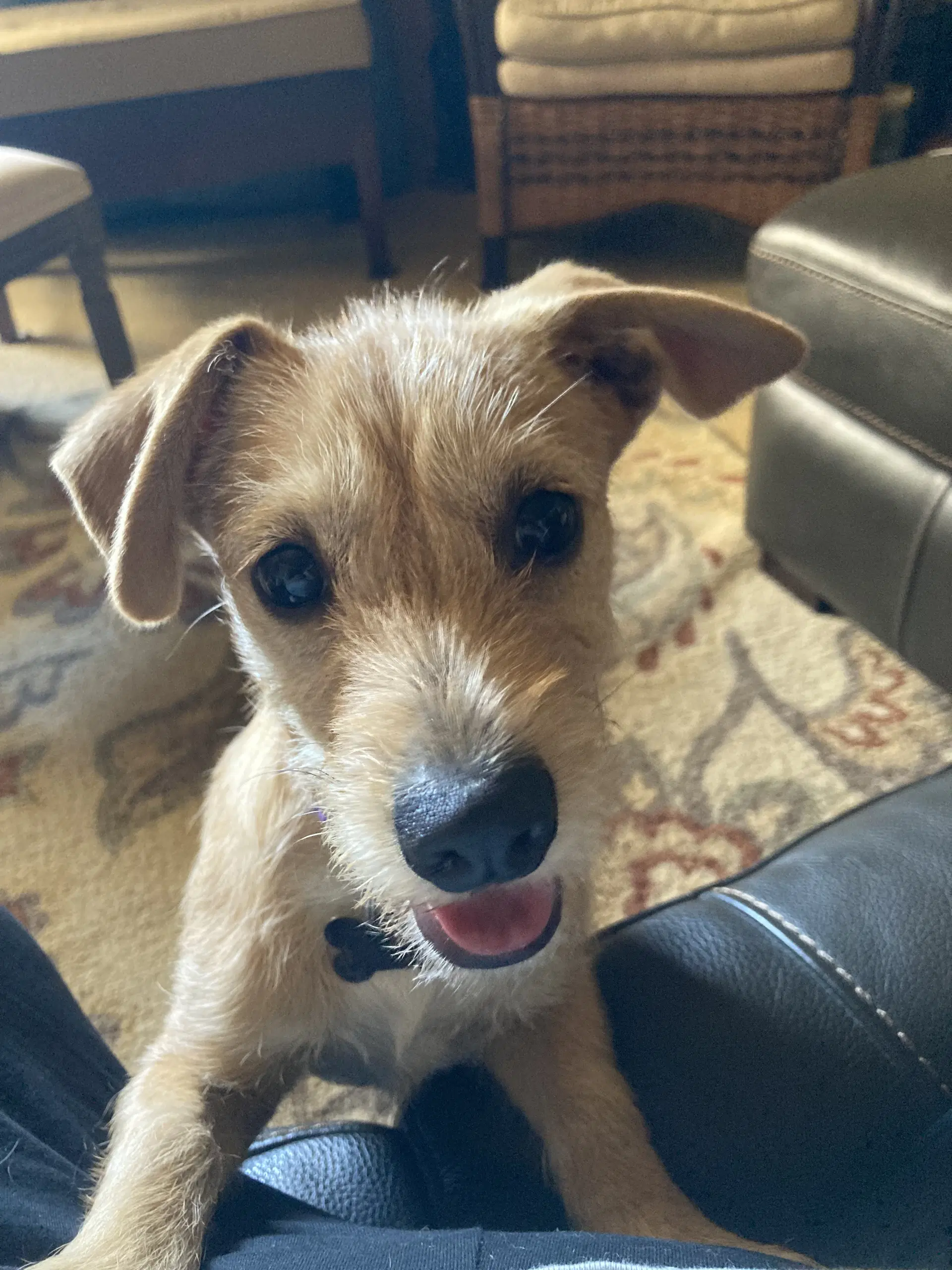Milly image 1